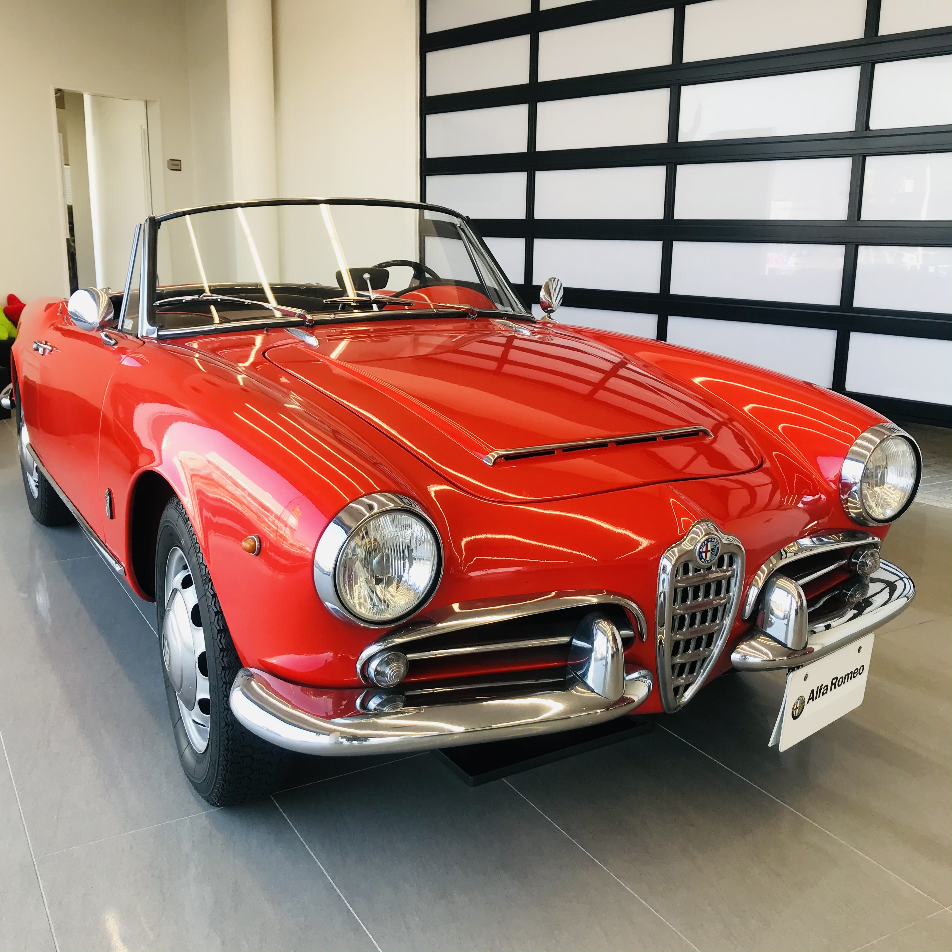 クラシックカー Giulietta Spider 1600 展示中 Alfa Romeo 高前 Fiat Abarth 高前